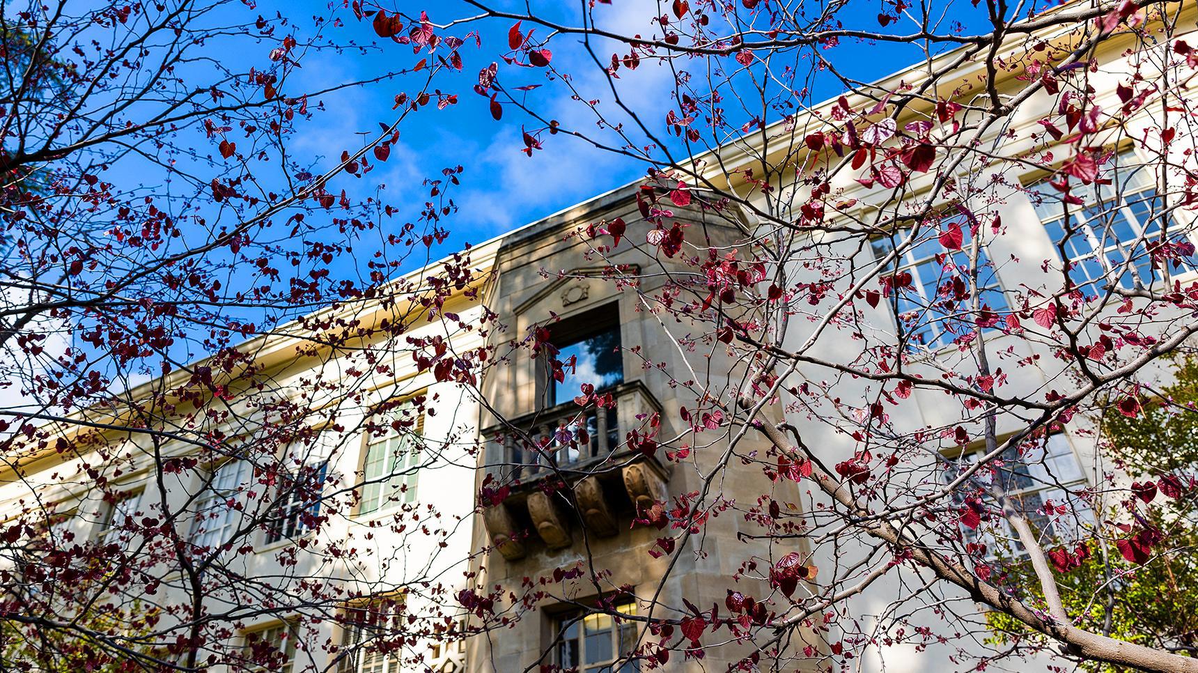 Program media masthead - campus beauty building shot