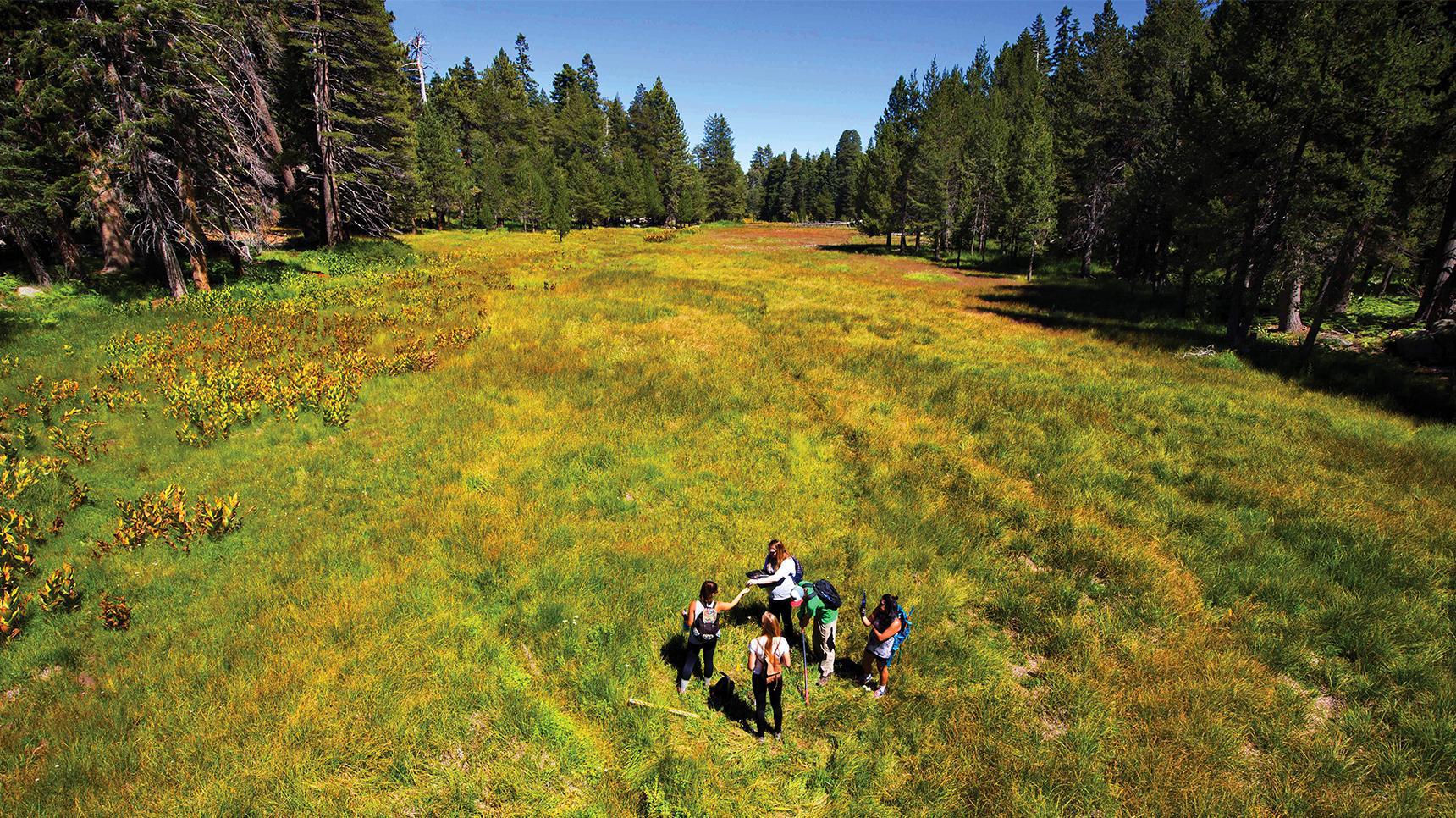 Program media masthead. -Environmental studies on field for summer science research (1)