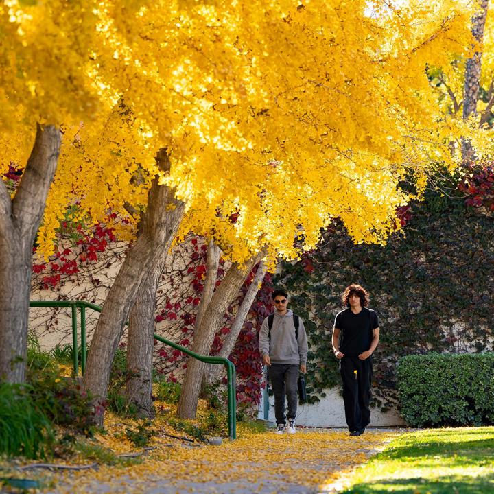 Media card - students walking on campus