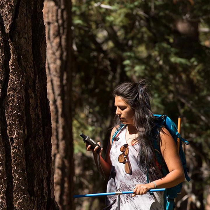 Media card - summer science research student in wilderness