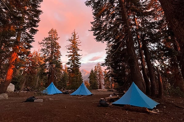 Sequoia National Park Adventure