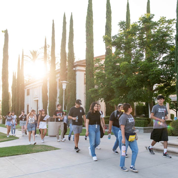 Summer-Bridge-student-tour-square